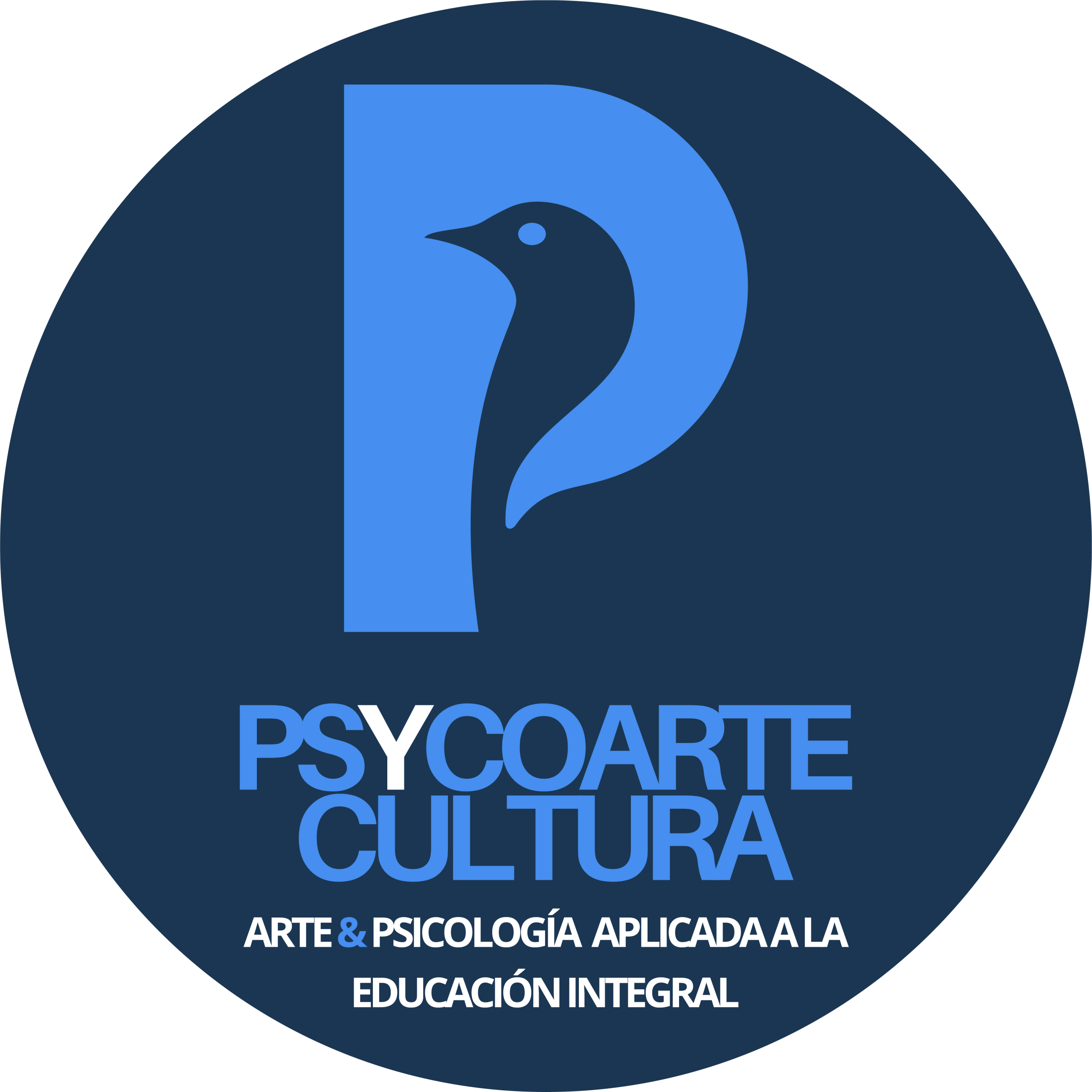 PSYCOARTE CULTURA